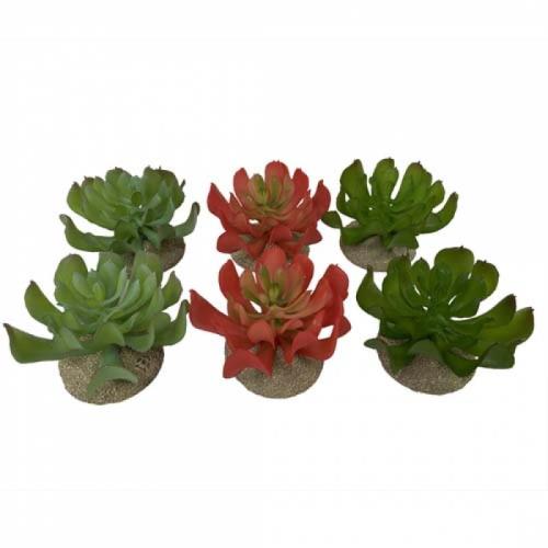 EBI TERRA DELLA Dekorácia do terária Echeveria 1 Mixfarby 8,5x8x5,8cm 1ks