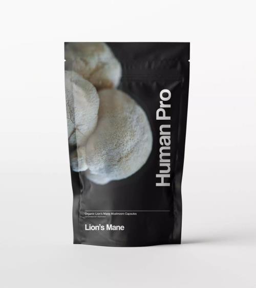 Levia hriva – Korálovec ježovitý