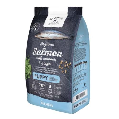 GO NATIVE Puppy Salmon with Spinach and Ginger 800g ultraprémiové krmivo pre šteňatá s lososom, špenátom a zázvorom
