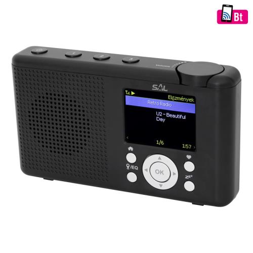 Rádio internetové SAL INR3000