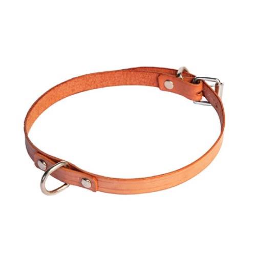 COBBYS PET Obojok z pravej kože 40cm/10mm prírodná hnedá
