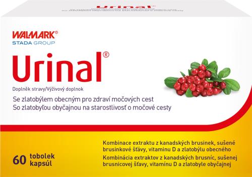 Urinal