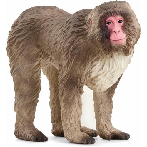 Schleich Makak červenolící