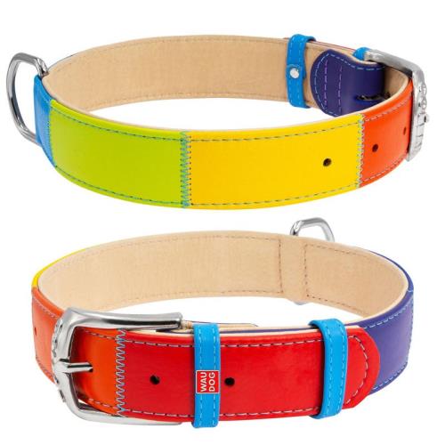 Plochý kožený obojok dúha, Obvod krku: 38-49 cm, širka: 25 mm
