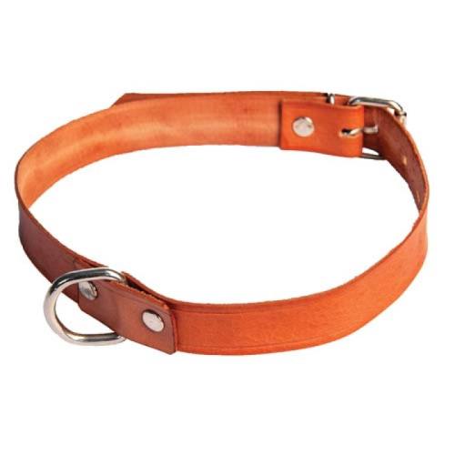 COBBYS PET Obojok z pravej kože 50cm/20mm prírodná hnedá