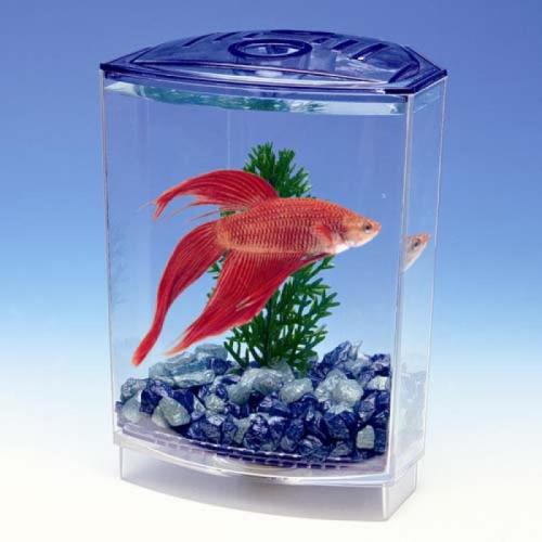 PENN PLAX BETTA akvárium 10x10x15cm + rastlina + štrk pre bojovnice
